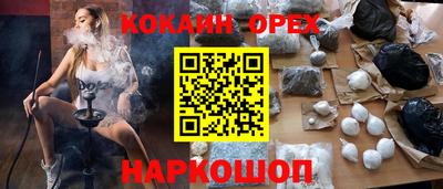 гидра Кингисепп