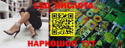гидра Кингисепп