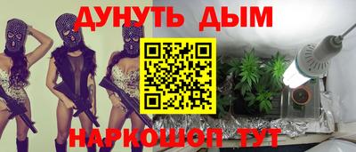 гидра Кингисепп