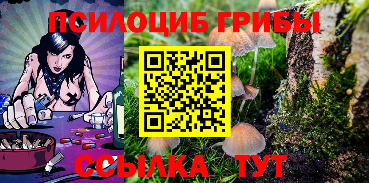 Корсаков  Галлюциногенные грибы Psilocybine cubensis  Вход с VPN 